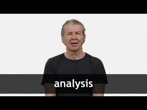 Definition & Meaning of Analyse