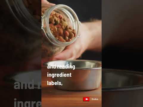 Protect Your Furry Friend from Hidden Toxins in Dog Food! #shorts (Link below)