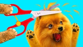 ПЕСИК В ШОКЕ! КТО ЭТО СДЕЛАЛ? МИСТИКА В ДОМЕ!
