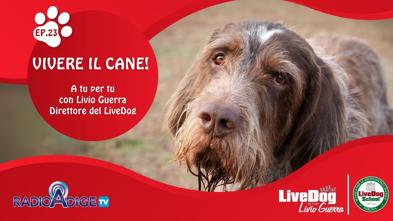 Descrizione dell'immagine