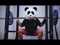 THE TRUTH ABOUT PANDA | Buu to Broly Transformation Ep. 12