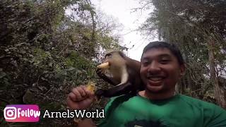 preview picture of video 'Arnel’s World - Tafi Atome Monkey Sanctuary Visit to see the Mona Monkeys Volta, Ghana '
