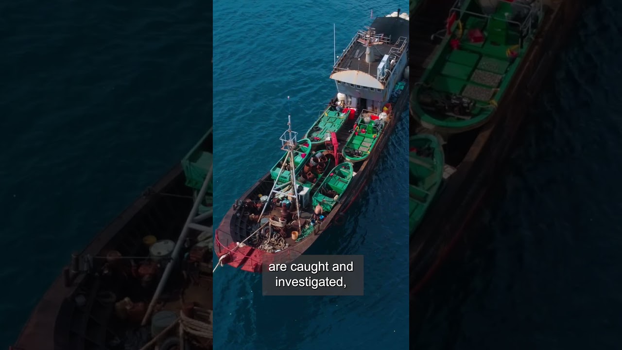 We can track vessels across the ocean — but do we know who truly profits from them?