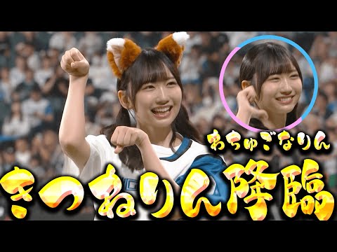 2024/06/28 【のんびり北から】藤嶌果歩さんのきつねダンス【きつねりん降臨】 のサムネイル