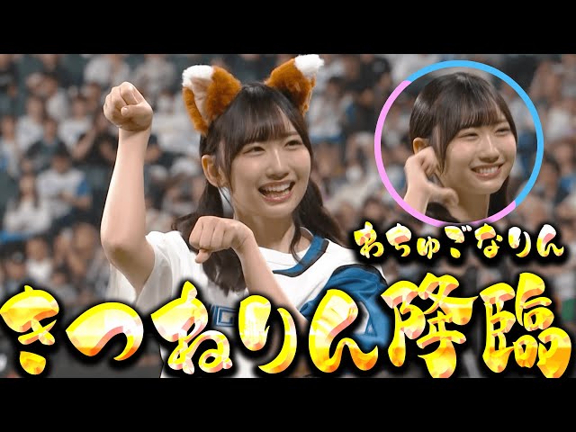 【のんびり北から】藤嶌果歩さんのきつねダンス【きつねりん降臨】