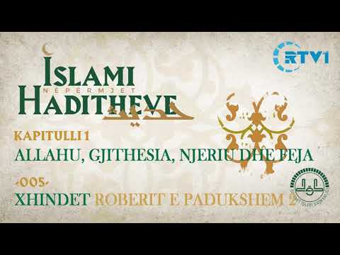 Raporti mes Profeteve dhe Xhindeve