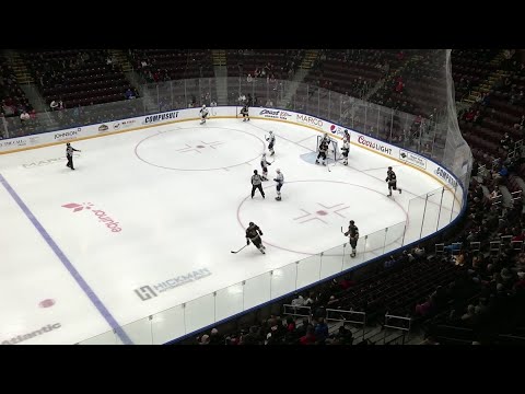 Highlights | November 15 VS Toledo Walleye