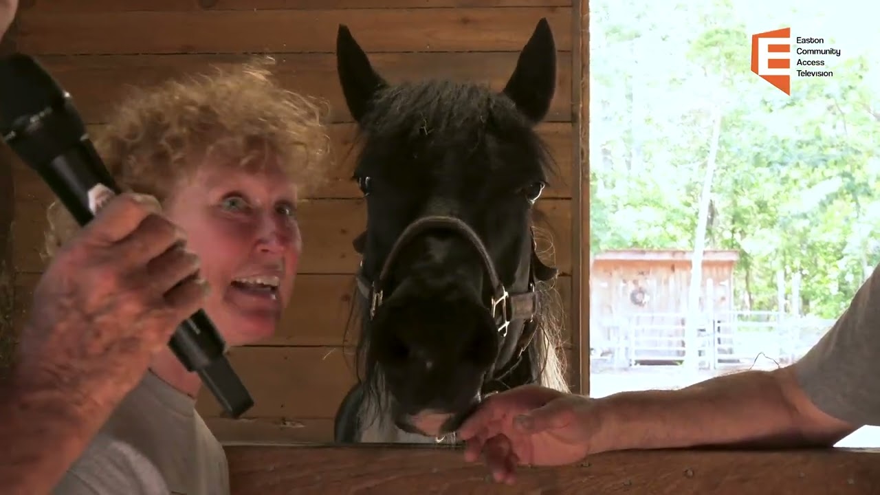 Service Matters: Smokey Chestnut Farm 6/29/23