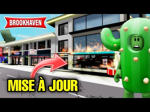 CACTUS DANS LA DESTRUCTION DE BROOKHAVEN (MISE À JOUR) ! ROBLOX - BROOKHAVEN RP