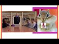 Benny J Shaw Baha Men Opening Theme Tune Rat Race Movie 2001 High Pitch Cover