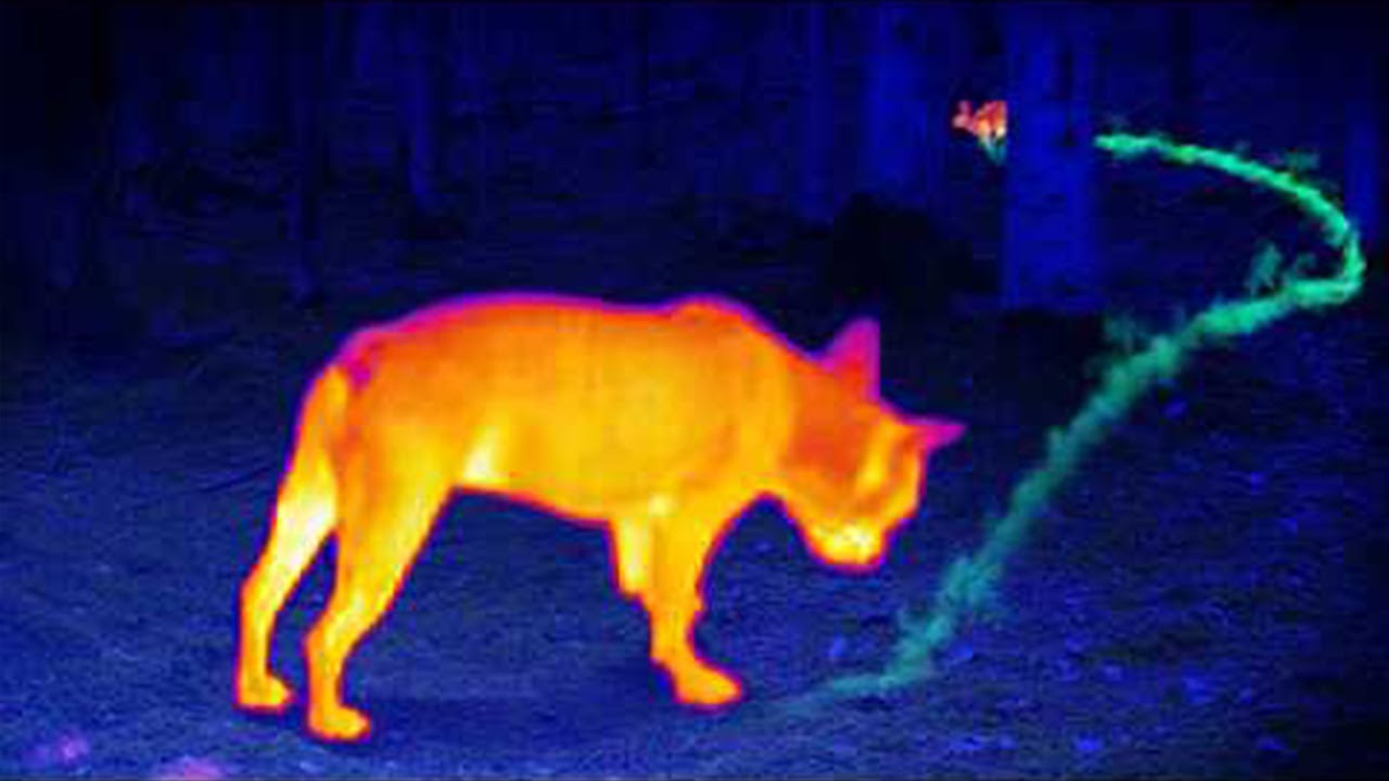 3 Maneras de ver el flujo de aire invisible