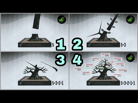how to make bonsai tree step by step animation for beginner | llustrasi membentuk bonsai buat pemula