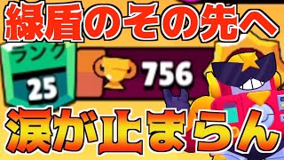 【ブロスタ】緑盾の先が地獄過ぎてガチハゲ!!限界突破に挑む!!【緑盾道】