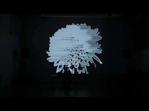 Grant Bouvier Live @ Ars Electronica Festival NYC 2021