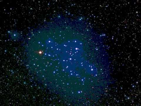 Dizzy D Flashy Unthinkable *2010*