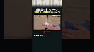 旭化成のオンリーワン 世界で唯一の繊維「ベンベルグ」 #カンブリア宮殿 #旭化成 #エアリズム #ベンベルク #ユニクロ