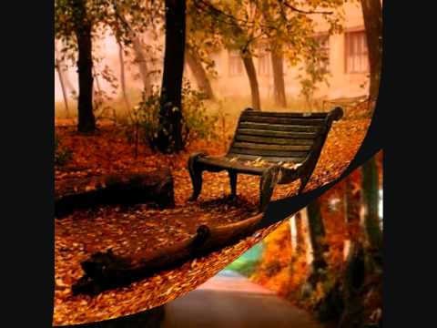 dejame llorar sonora tropicana