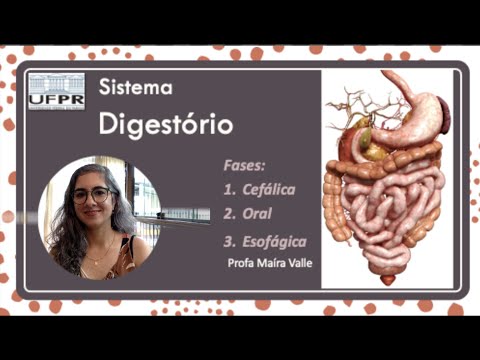 Aula 1: Fase cefálica, oral e esofágica da digestão