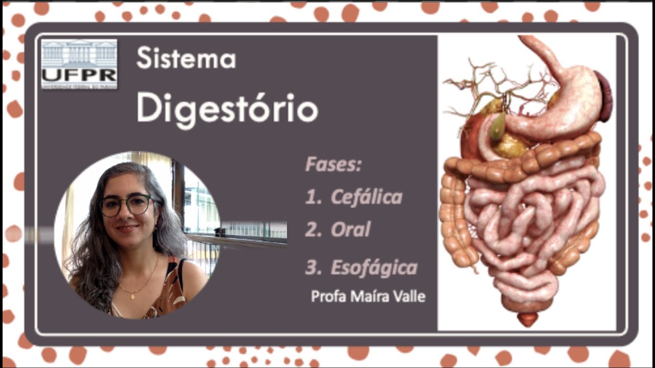 Aula 1: Fase cefálica, oral e esofágica da digestão