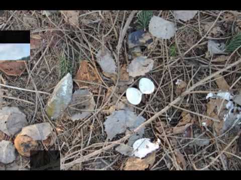 ambiente san fedele intelvi