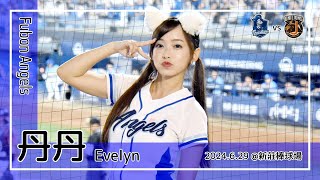 【台湾チア】丹丹 Evelyn | Fubon Angels | 李宗賢 應援曲 + 嗆司曲 一擊稱霸,GO富邦悍將,藍色旋風 + 北方王者 [中文歌詞]
