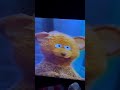 Sesame Street Do The Alphabet Baby Bear Letter E 1996