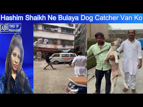 Mumbra Ke Kismat Colony Mai Hashim Shaikh Ne Bulaya Dog Catcher Van Ko | Edited by Sahil | AB Times