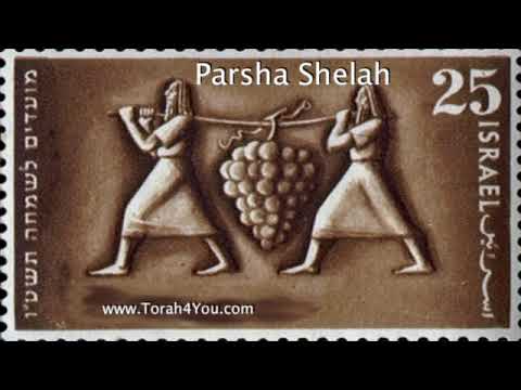 Sin of the spies in depth - by Rabbi Alon Anava  #Torah4You