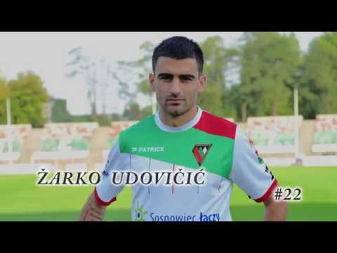 Žarko Udovičić - high class defender