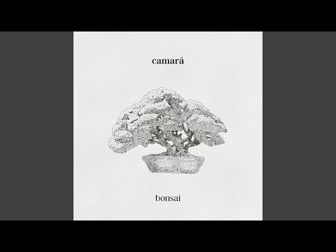 Bonsai