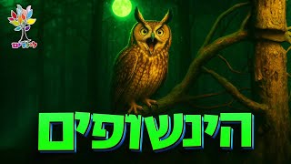 חיות לילדים | ינשוף 🦉 -  עולם החיות - בהמחשת AI מיוחדת (ארגון ענפים) - התמונה מוצגת ישירות מתוך אתר האינטרנט יוטיוב. זכויות היוצרים בתמונה שייכות ליוצרה. קישור קרדיט למקור התוכן נמצא בתוך דף הסרטון חיות לילדים | ינשוף 🦉 -  עולם החיות - בהמחשת AI מיוחדת (ארגון ענפים) - התמונה מוצגת ישירות מתוך אתר האינטרנט יוטיוב. זכויות היוצרים בתמונה שייכות ליוצרה. קישור קרדיט למקור התוכן נמצא בתוך דף הסרטון