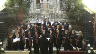 preview picture of video 'Tiha noć - župski zbor Sv.Reparate - Stari Grad'