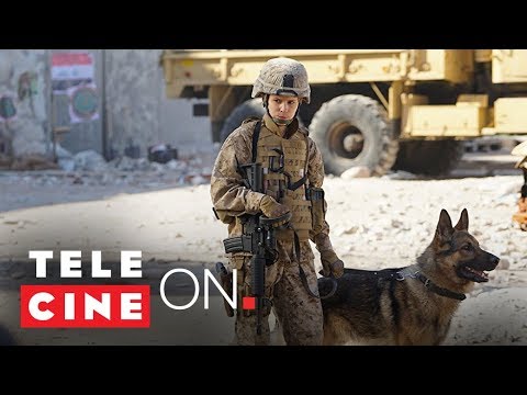download lagu mp3 mp4 Assistir Megan Leavey Dublado, download lagu Assistir Megan Leavey Dublado gratis, unduh video klip Assistir Megan Leavey Dublado