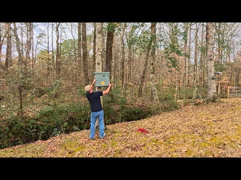 12 Tips to Hanging Swarm Traps