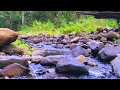 Gentle Stream Sounds | Relaxing Stream Sounds use for Relaxation, Sleep, insomnia