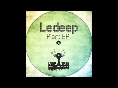 Ledeep  - The Fall [Plant E.P.]
