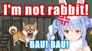 Pekora Rage After Losing Intense Online Barking Battle【Hololive】