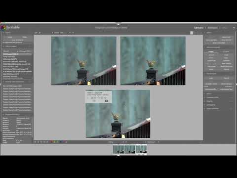 Workflow Walkthrough #11 - Darktable - One Image, Three Import Options!