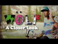 Tyler The Creator S WOLF A Closer Look