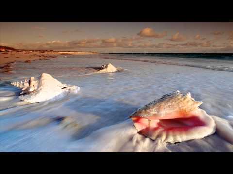 BT & Andrew Bayer - The Emergency (Oryginal Mix)