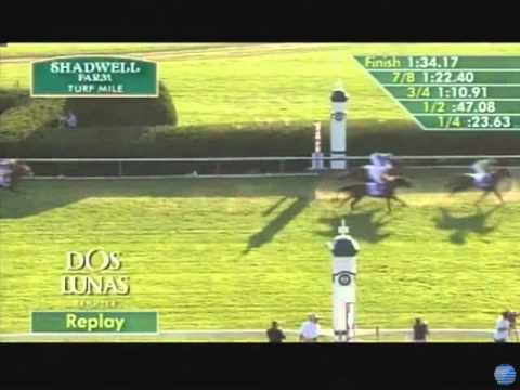 2011 Shadwell Turf Mile