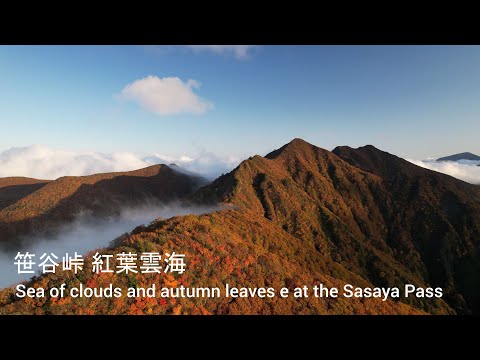 [4K] 🍁 笹谷峠 紅葉雲海 / Sea of Clouds & Autumn Leaves at Sasaya Pass ☁️🚁