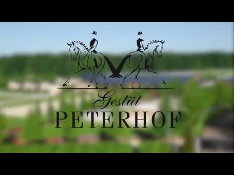 D'avie Züchterfrühschoppen 2017