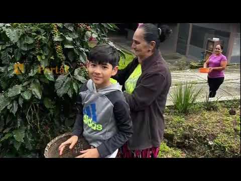 ¡Finca Madre Linda, Trinidad Santa Bárbara!