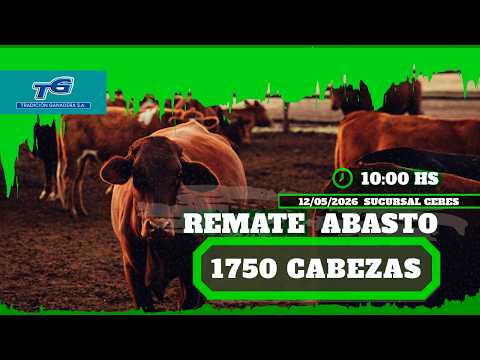 REMATE ABASTO...TRADICION GANADERA SUCURSAL CERES