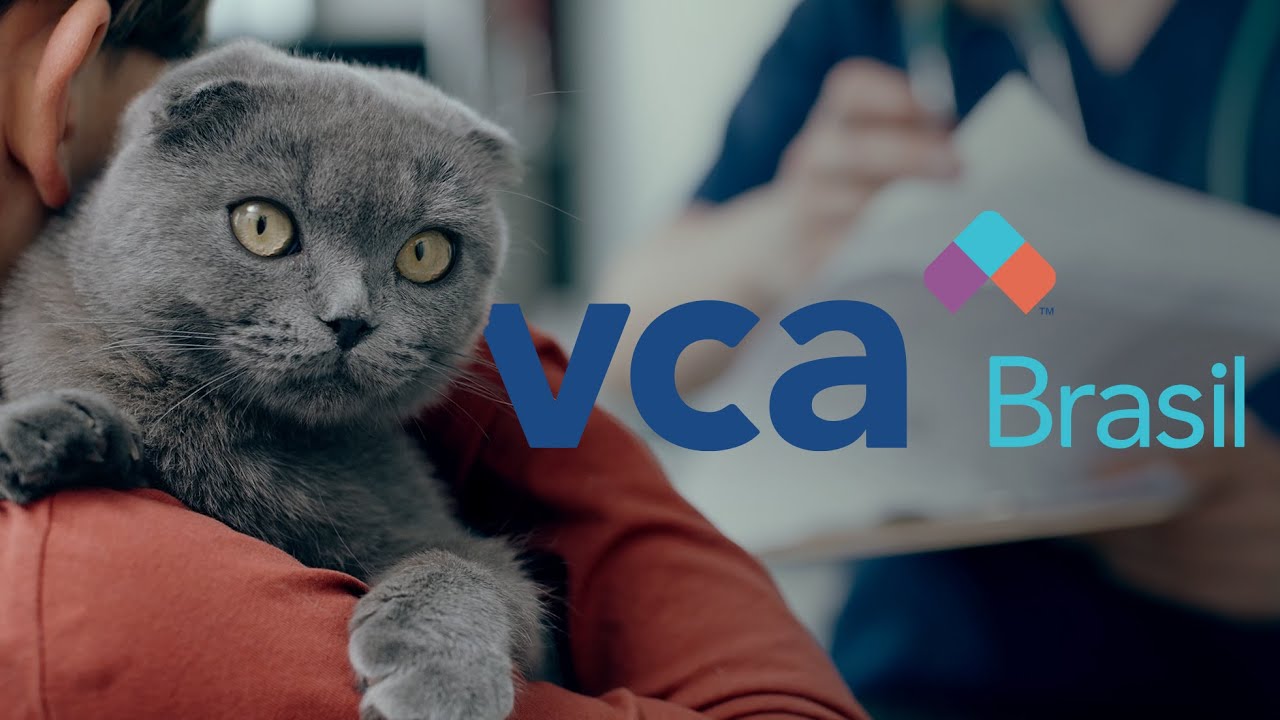 VCA Brasil — Institucional
