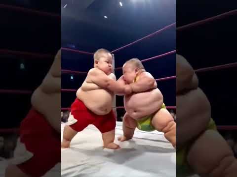 Junior Sumo Wrestling - #shorts #youtubeshorts #Sumo
