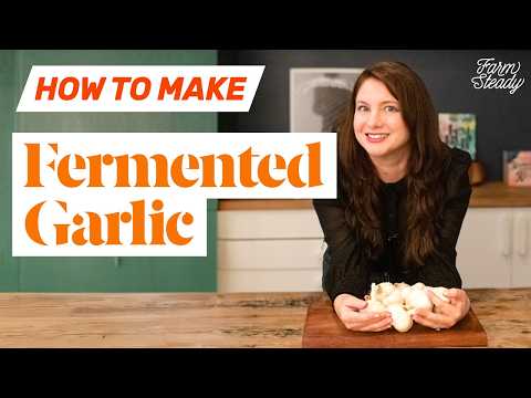 How to Make Fermented Garlic | Easy DIY Lacto-Fermentation Recipe 🧄