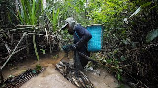 Download lagu 5 DAYS 4 NIGHTS FISH HUNTING IN THE DRY SEASON, HARVESTING BIG RIVER FISH & SWAMP FISH THAT ARE C... mp3