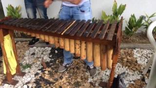 El ejem - son berejú (Beatriz Hernandez )